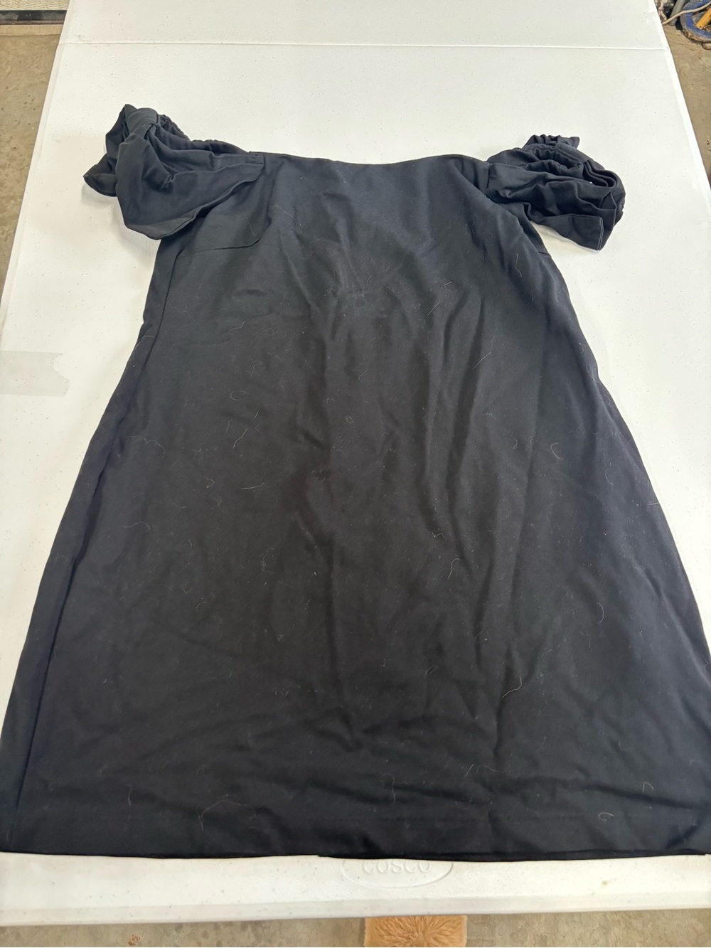 wild fable Black Off-Shoulder Mini Dress
